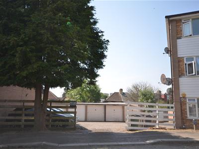 Picture 11